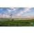 fa_p_centerpute03